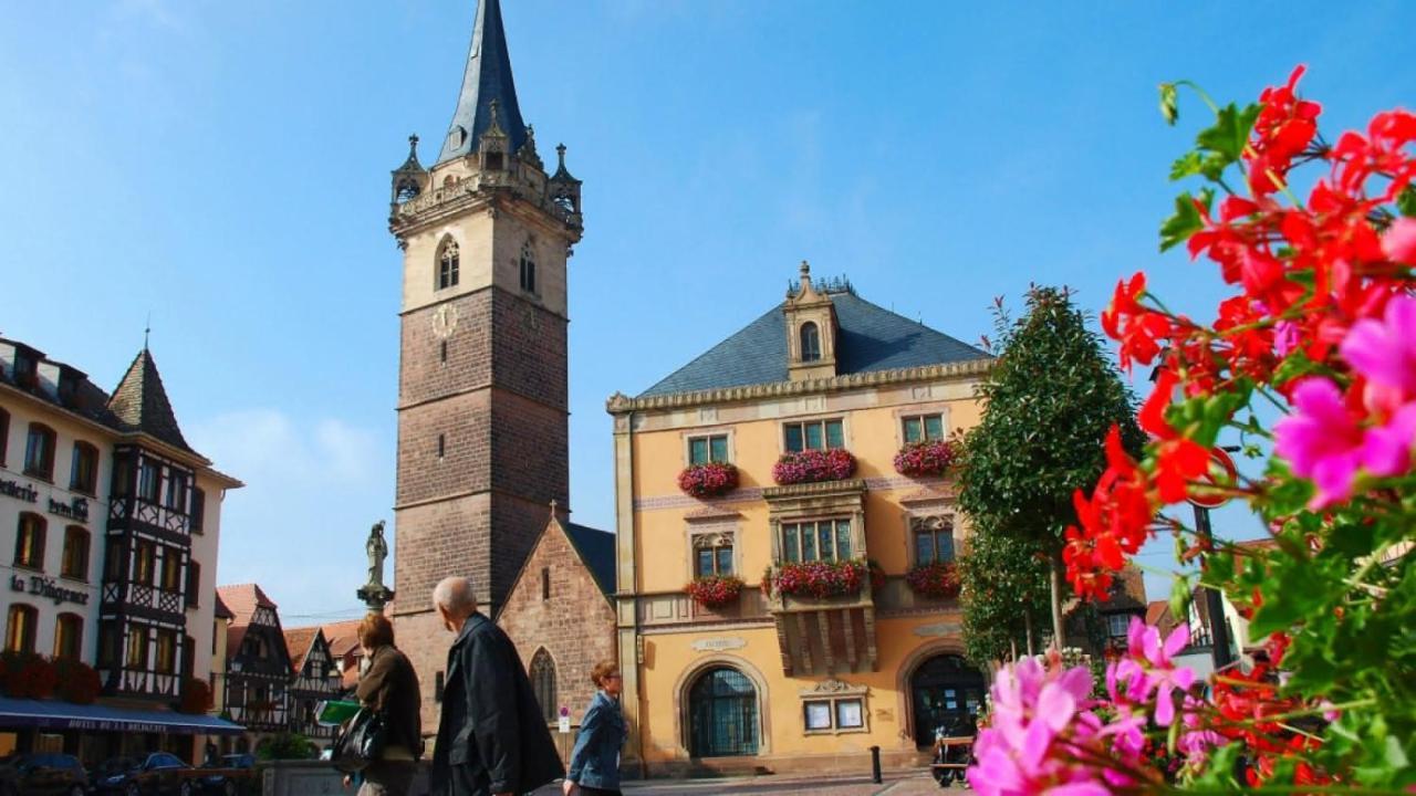 Gite Terre D'Helene 4 A 5 Pers Proche Strasbourg 42 M2, 3 Etoiles, Wifi, Paisible, Jardin, Proche Commerces,16 Atouts, Animaux Acceptes Berstett Экстерьер фото