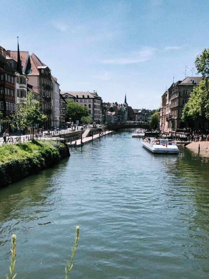 Gite Terre D'Helene 4 A 5 Pers Proche Strasbourg 42 M2, 3 Etoiles, Wifi, Paisible, Jardin, Proche Commerces,16 Atouts, Animaux Acceptes Berstett Экстерьер фото